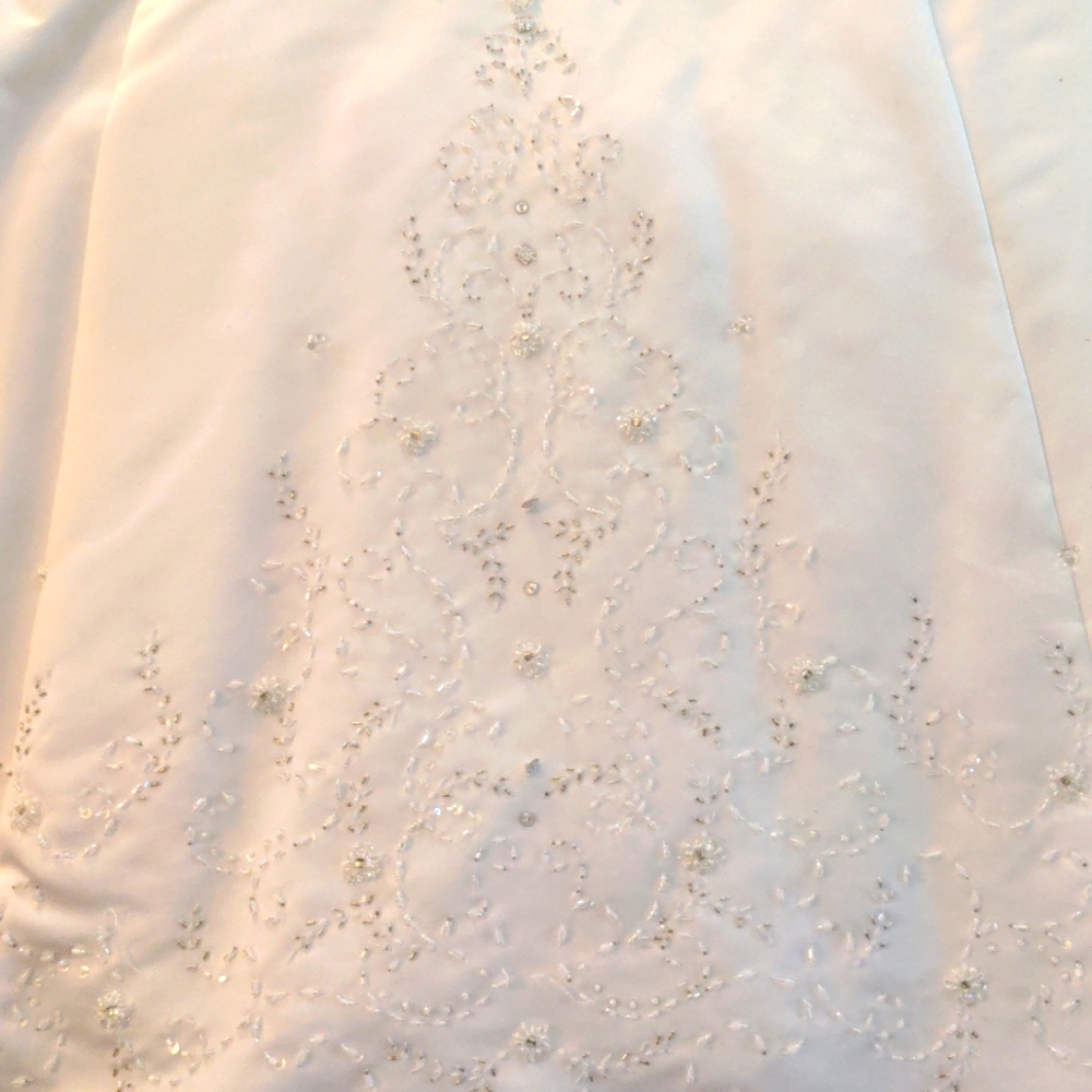 Wedding Gown - Picture 4 of 15